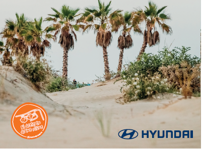 Hyundai plantará un oasis en el desierto