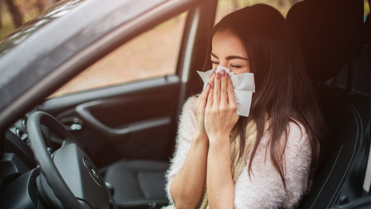 Aumentan las alergias en primavera: precauciones y consejos para conducir seguro