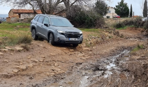 Subaru Forester 2025