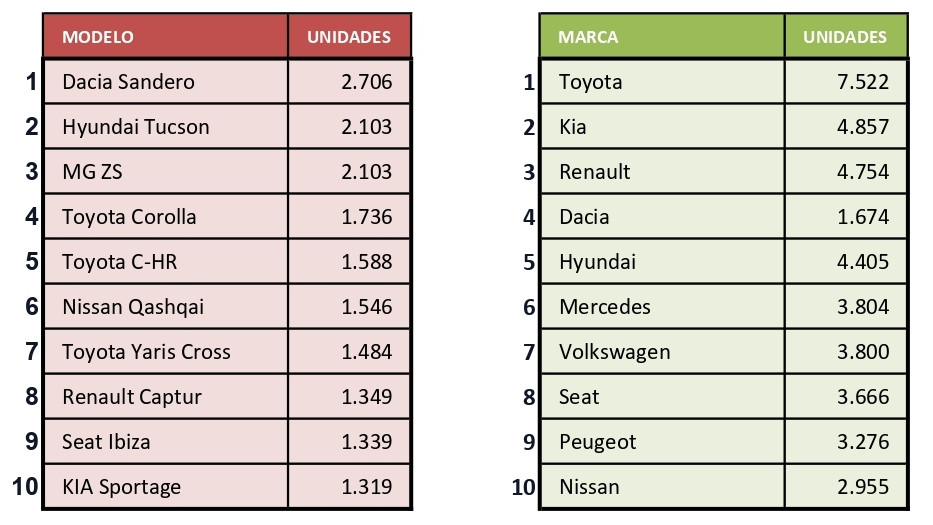 Ranking modelos y marcas enero 2025